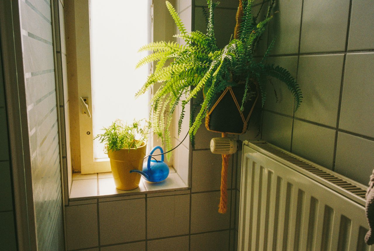 Maldiciones analógicas