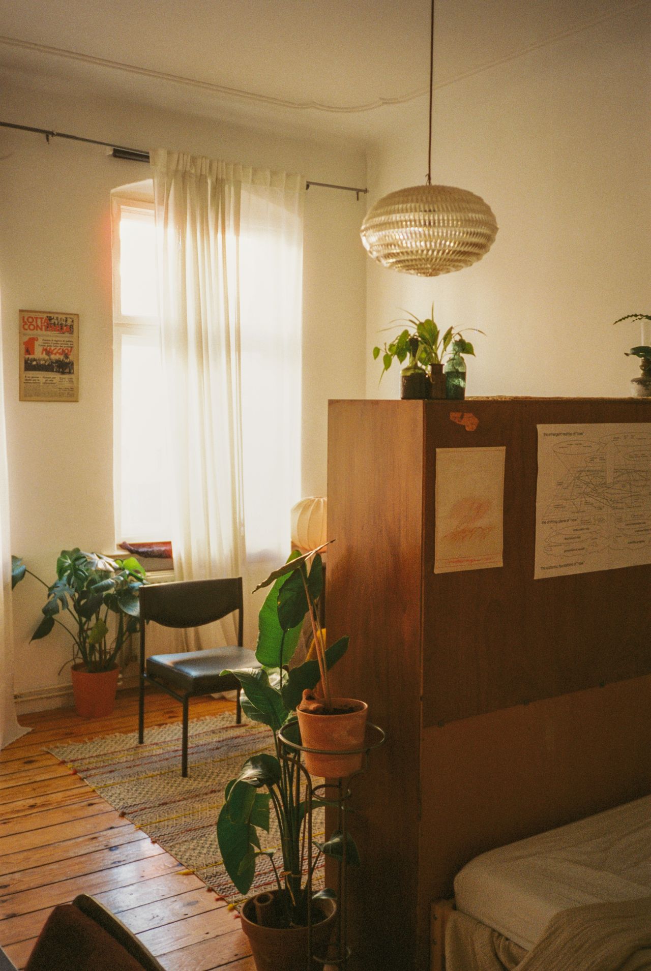 Maldiciones analógicas