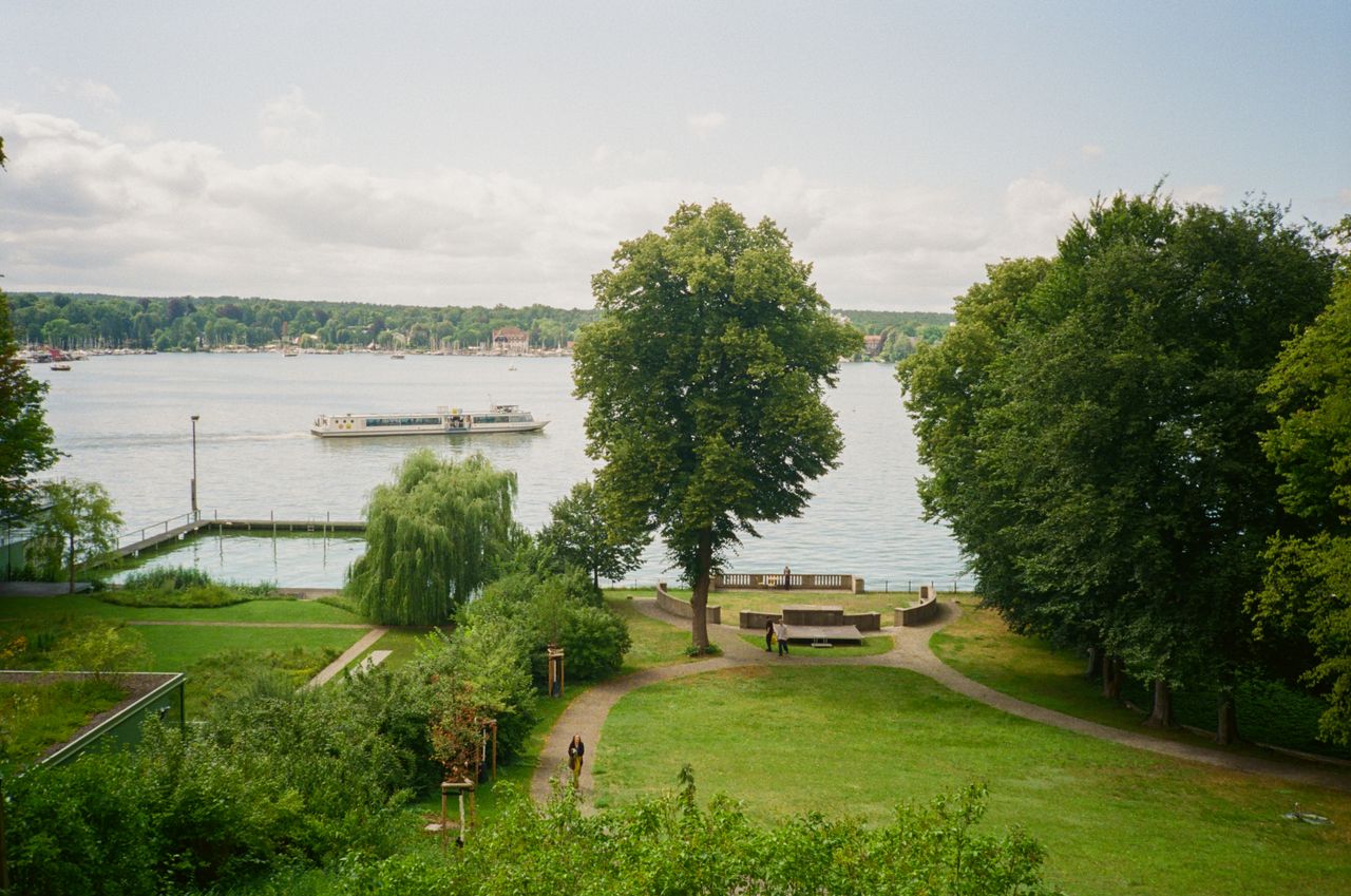 Maldiciones analógicas