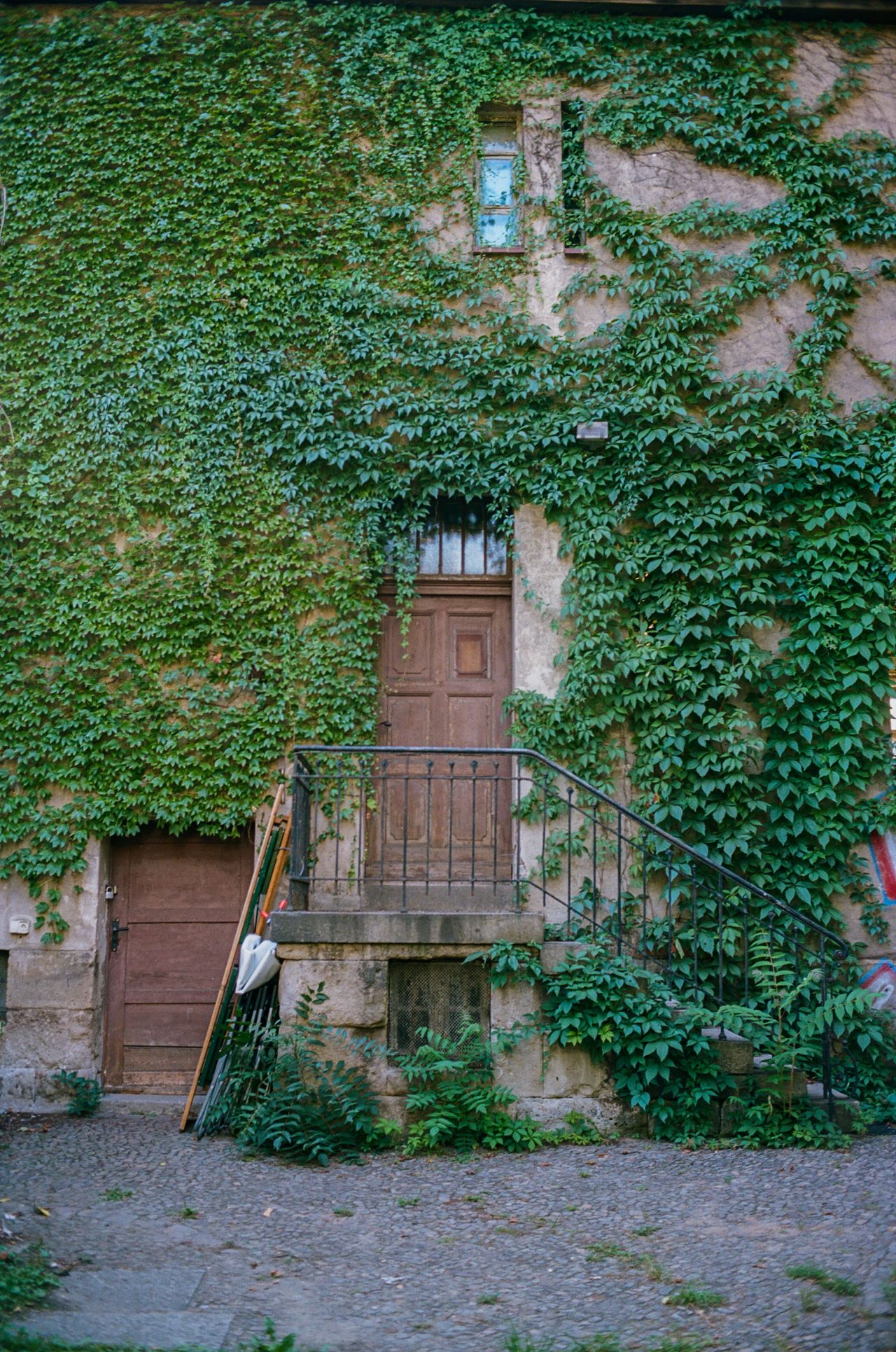 Maldiciones analógicas