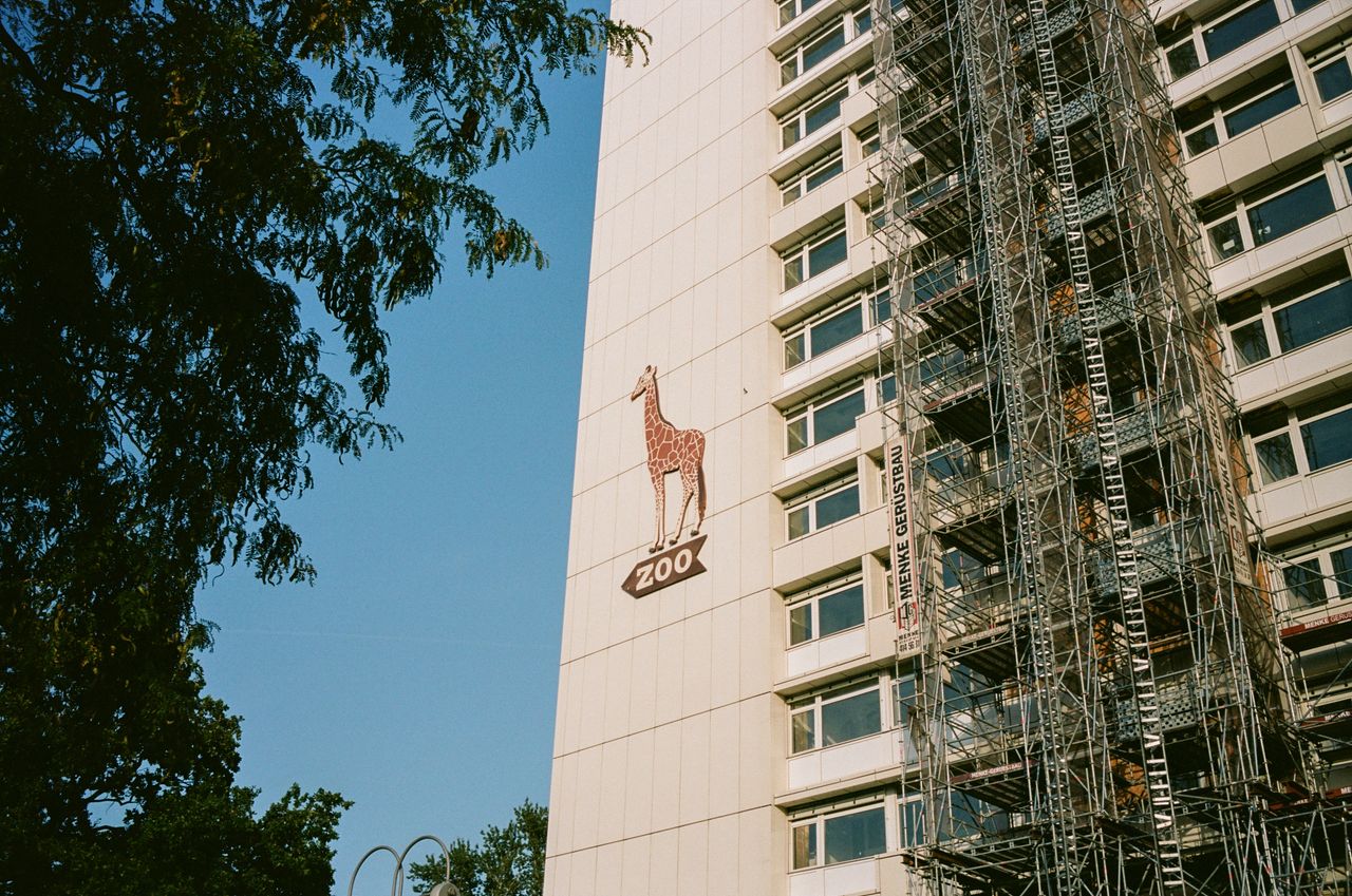 Maldiciones analógicas