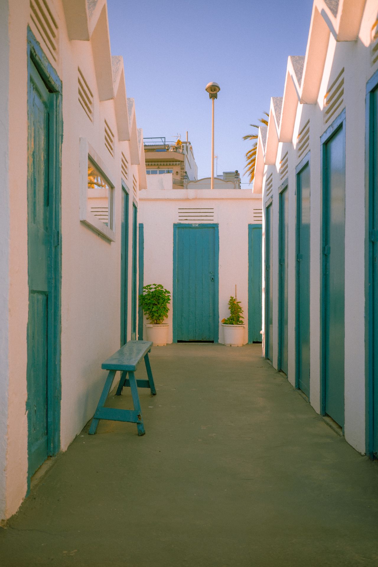 La Donzella de la Costa