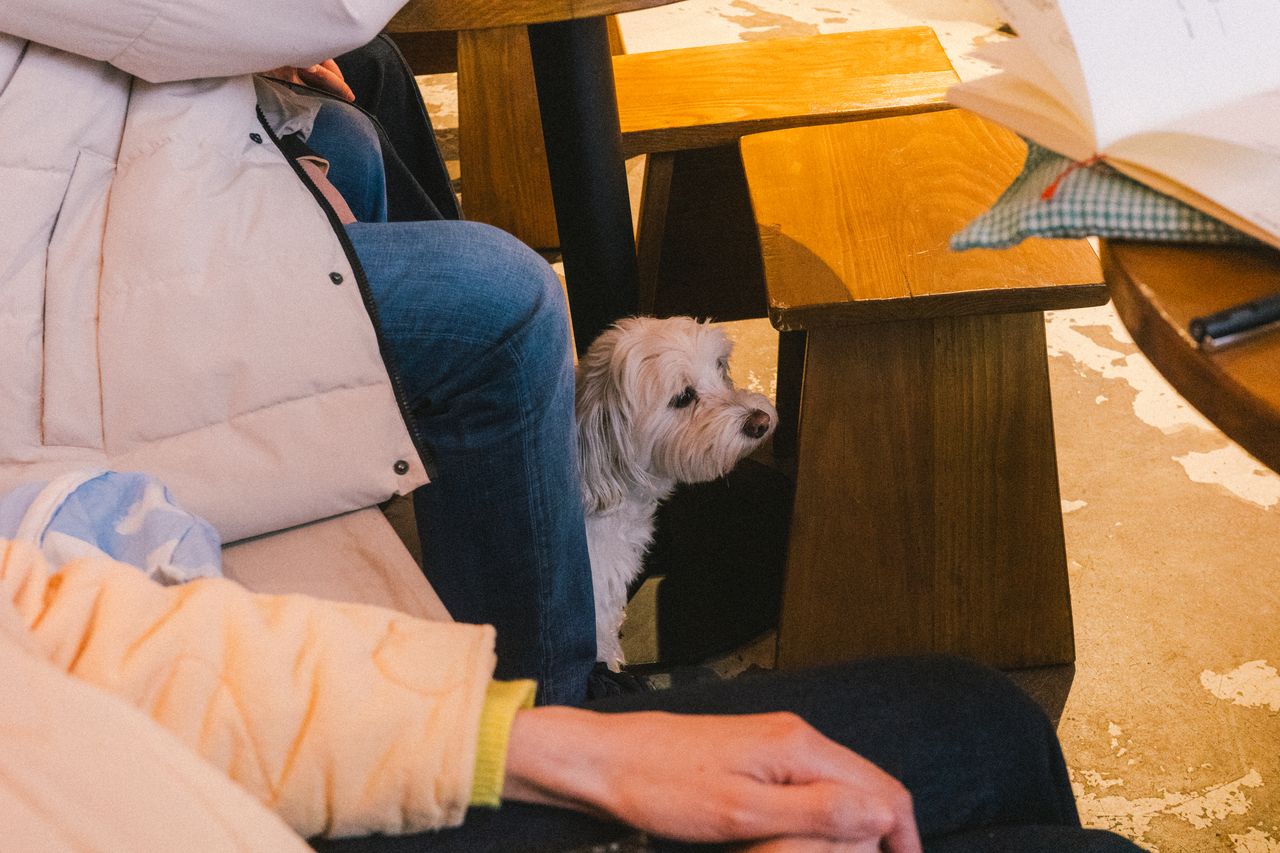 Parc de Can Solei i Ca l'Arnús