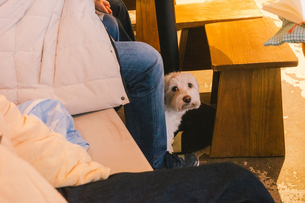 Parc de Can Solei i Ca l'Arnús