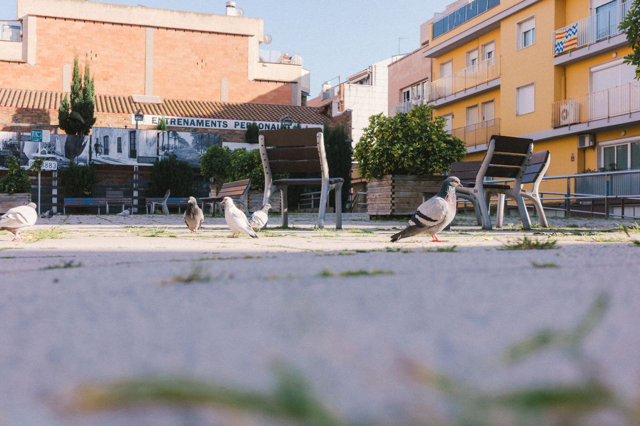 Parc de Can Solei i Ca l'Arnús