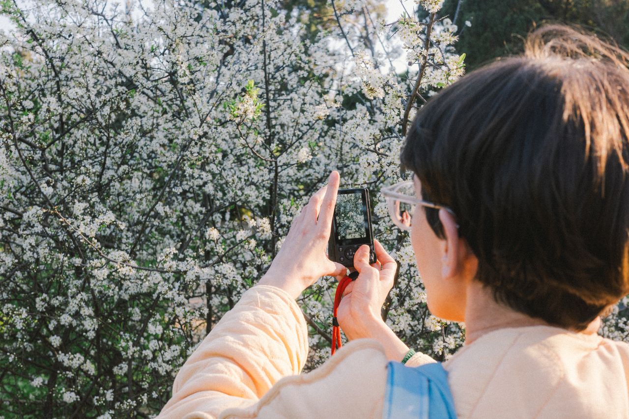 Parc de Can Solei i Ca l'Arnús