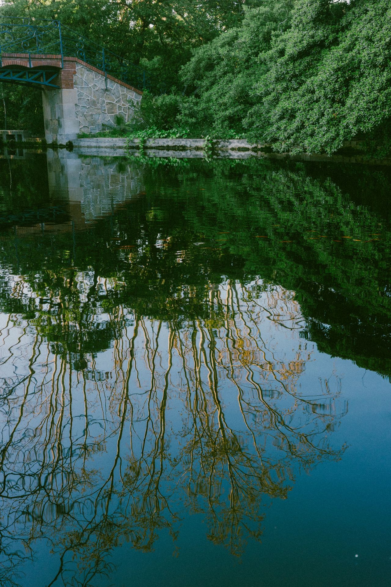 Parc de Can Solei i Ca l'Arnús