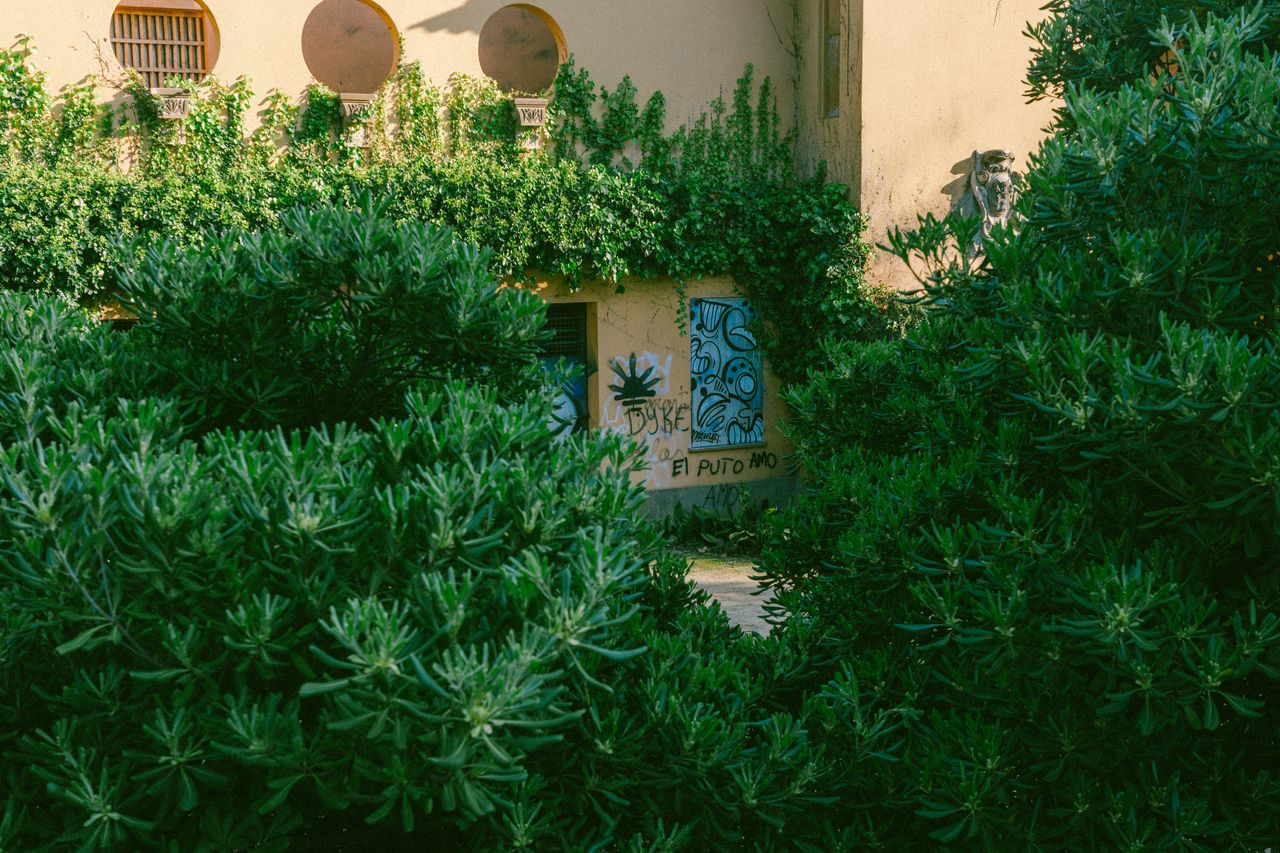 Parc de Can Solei i Ca l'Arnús