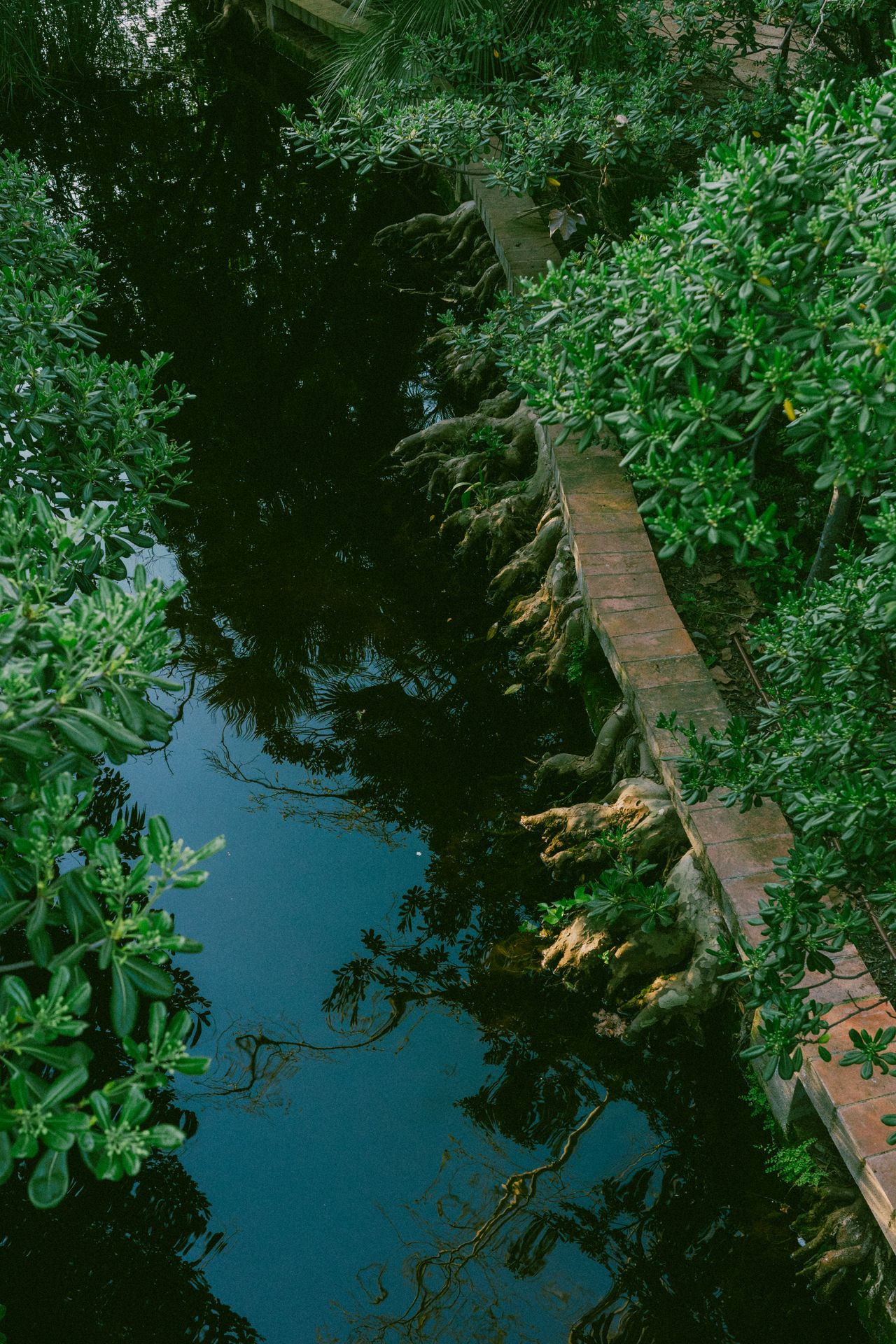 Parc de Can Solei i Ca l'Arnús