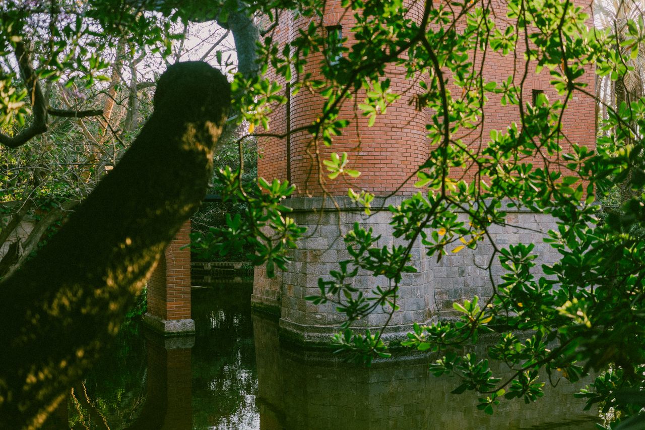 Parc de Can Solei i Ca l'Arnús