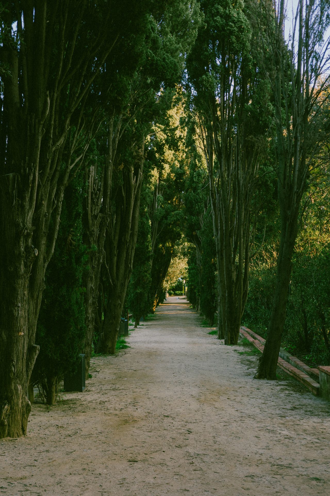 Parc de Can Solei i Ca l'Arnús