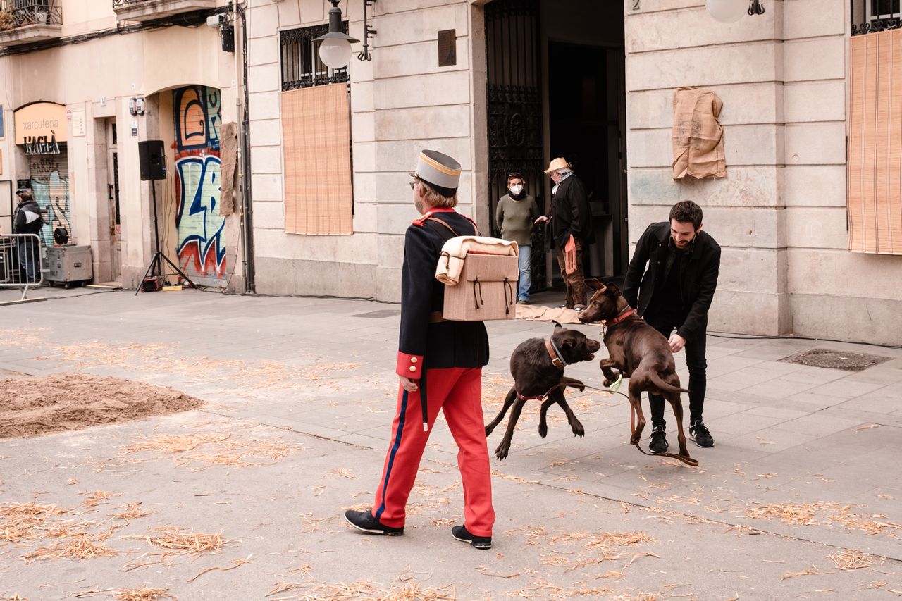 Revolta de les Quintes