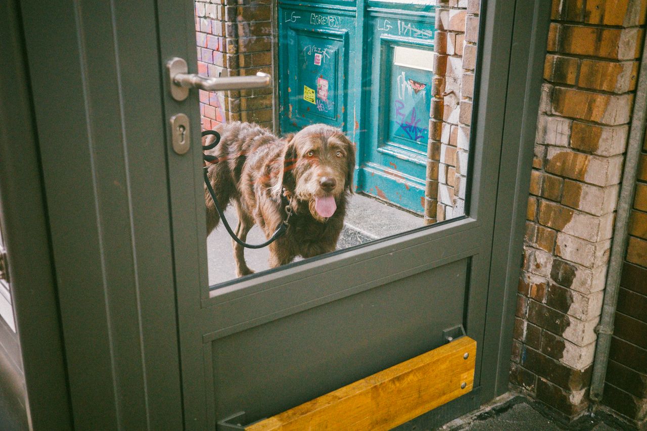 Berlín en primavera