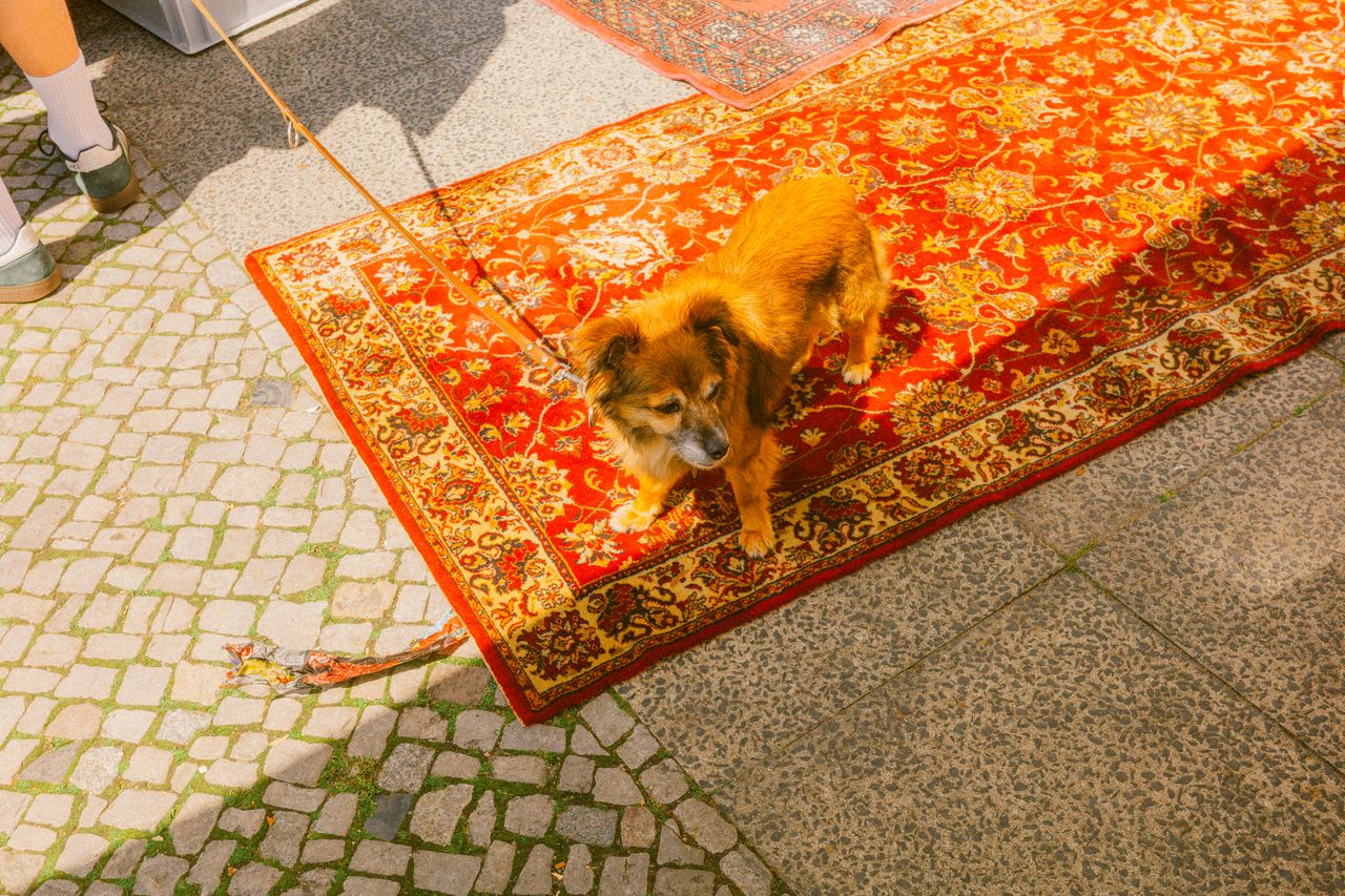 Berliner Trödelmarkt