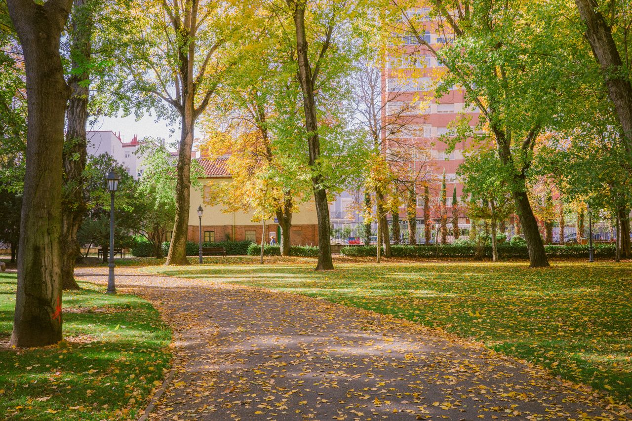 Velocidad de El Crucero