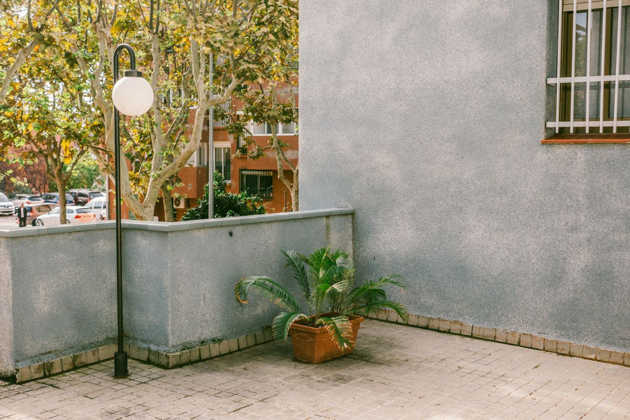 Paseo Improvisado Paseo Improvisado