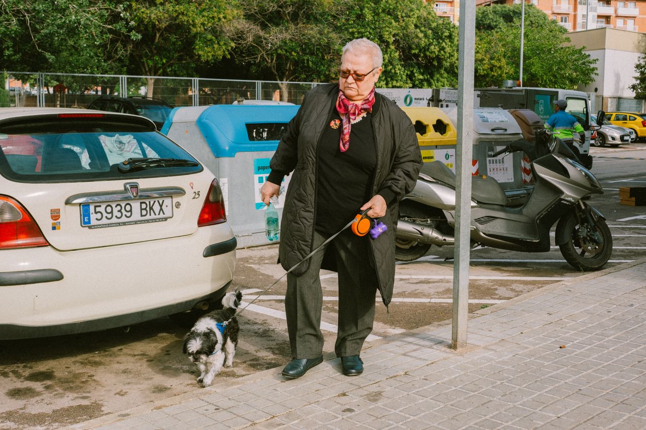 Paseo Improvisado Paseo Improvisado