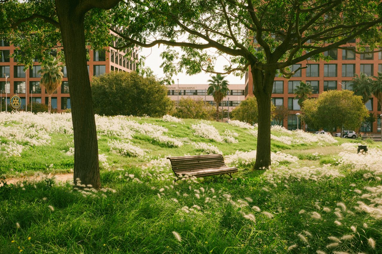 Paseo Improvisado Paseo Improvisado