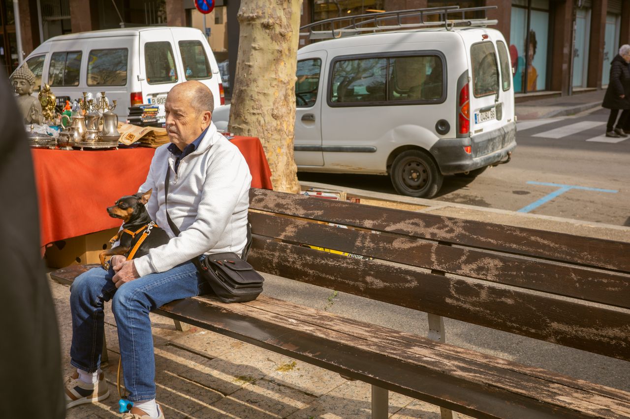 Antiquaris, Brocanters i Col·leccionistes