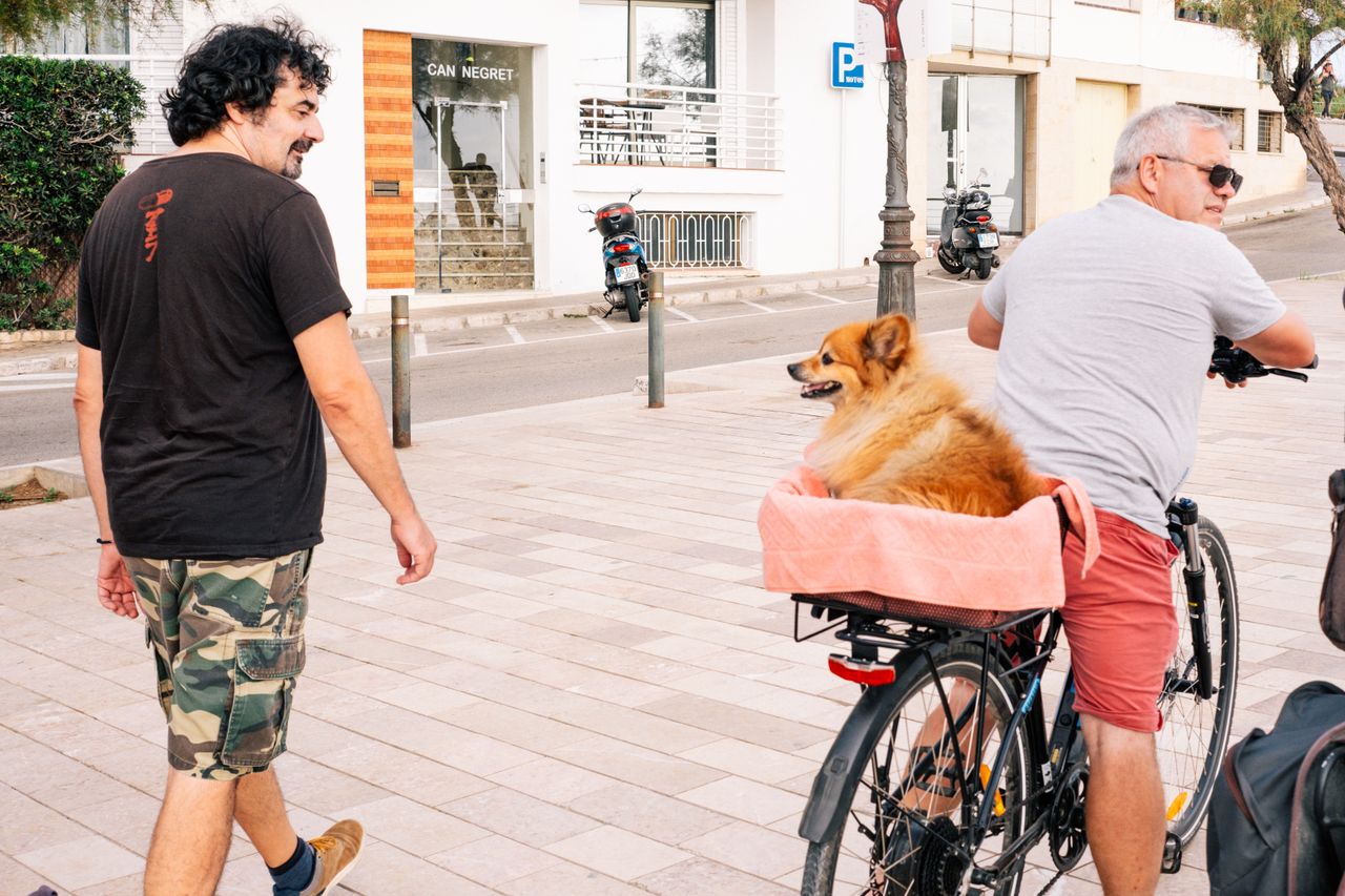 Festival Internacional de Perros Fantásticos de Sitges