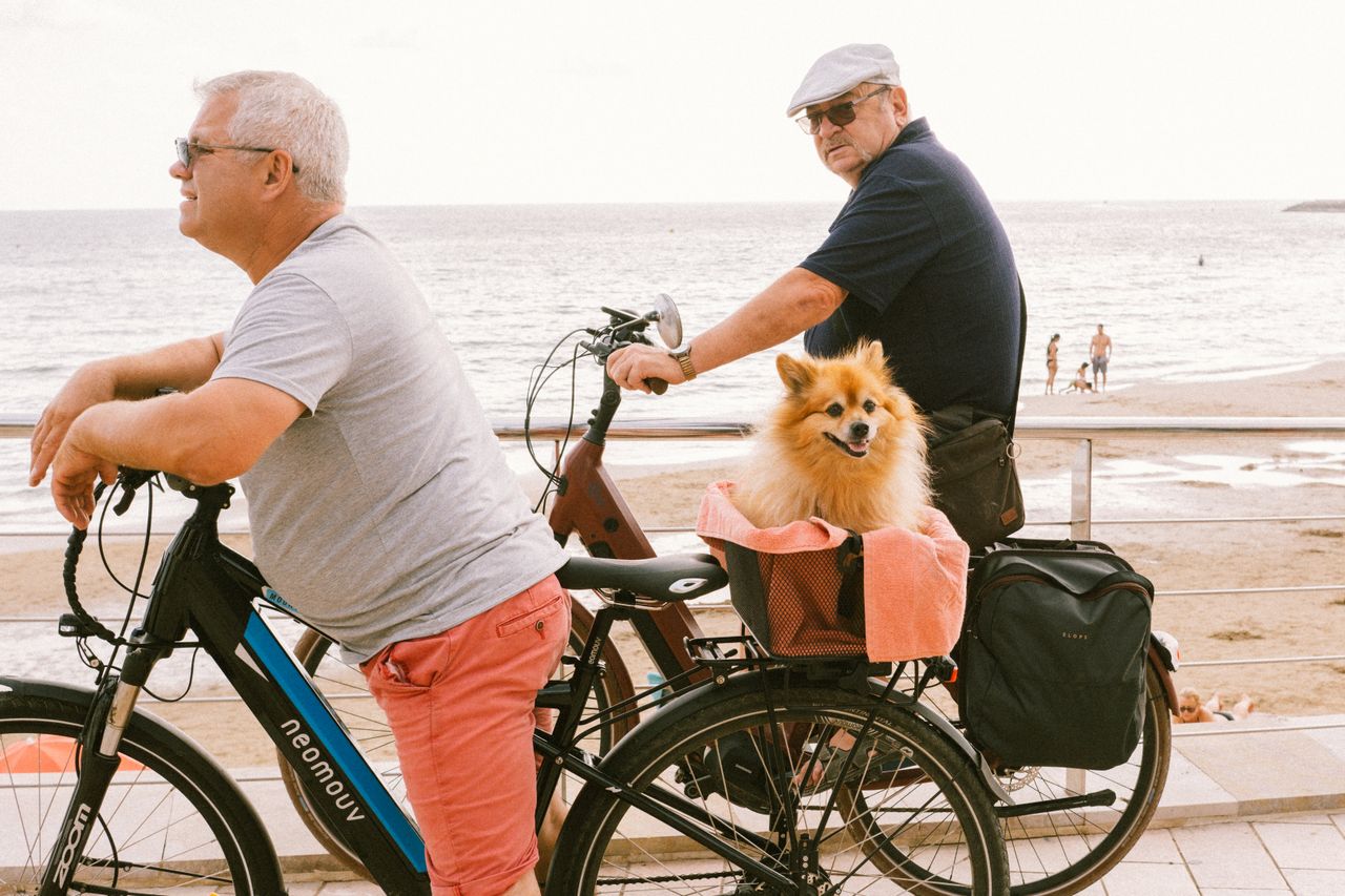 Festival Internacional de Perros Fantásticos de Sitges