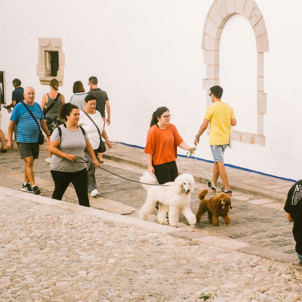 Festival Internacional de Perros Fantásticos de Sitges