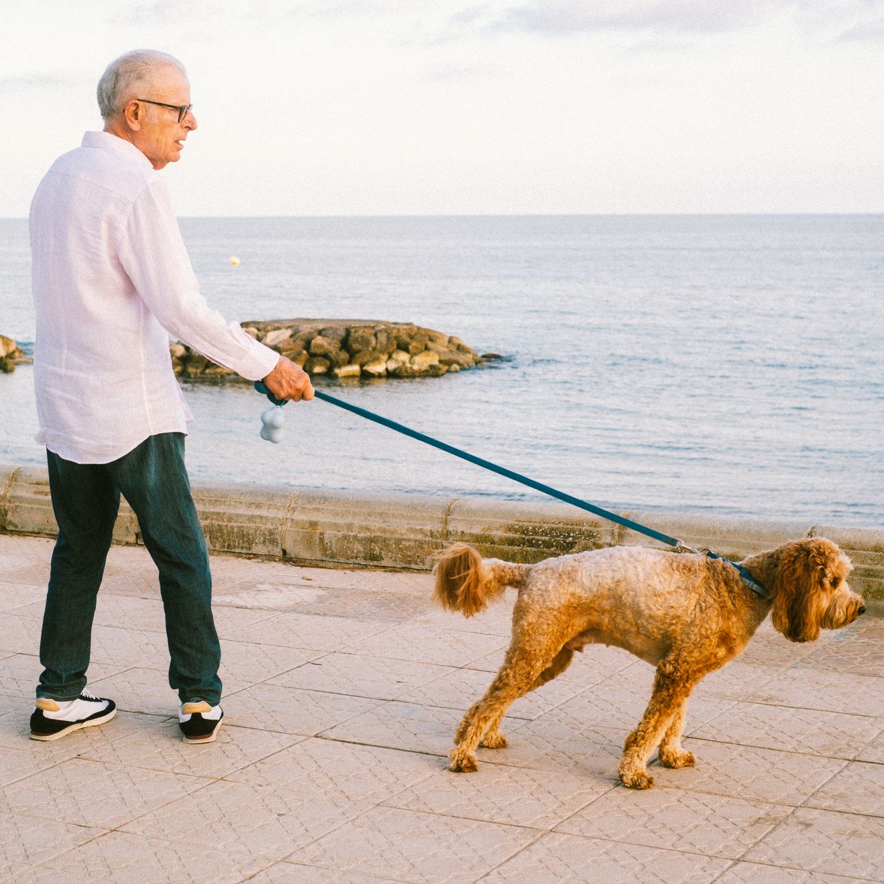 Festival Internacional de Perros Fantásticos de Sitges