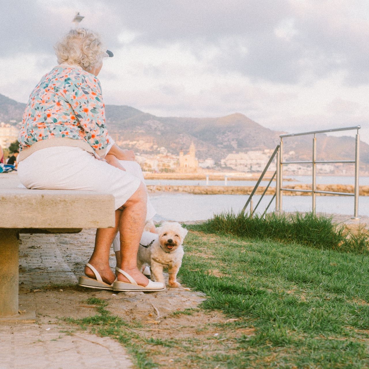 Festival Internacional de Perros Fantásticos de Sitges