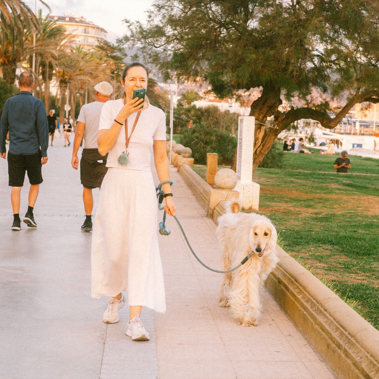 Festival Internacional de Perros Fantásticos de Sitges